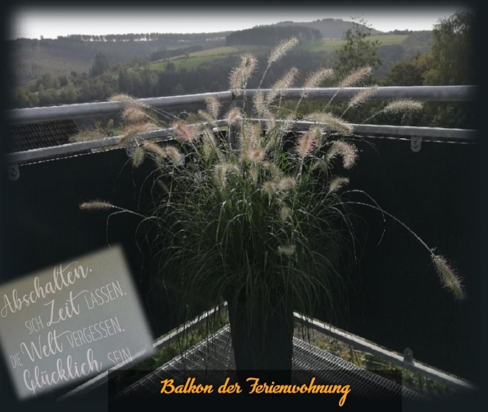 Waldglueck Familie Bruening Apartment Bad Berleburg Bagian luar foto